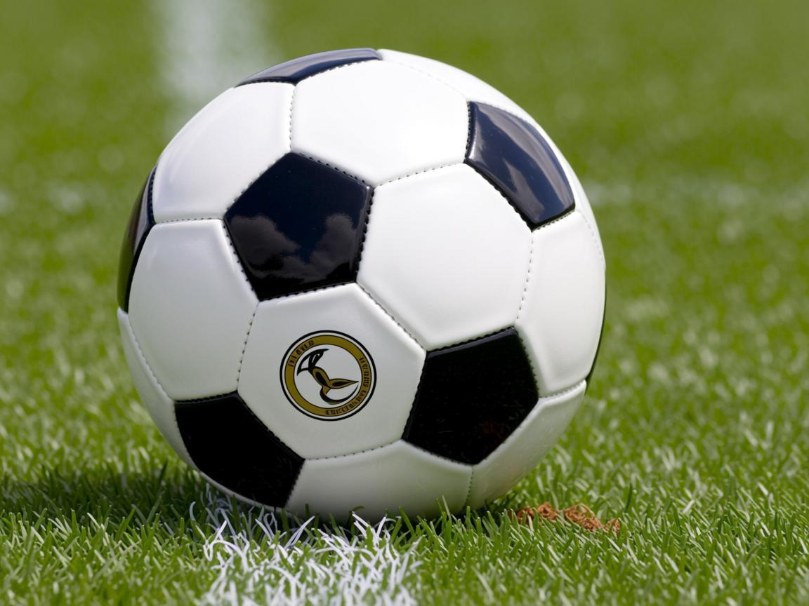 开云体育官网app-“2025世界运动会：三叉湖校区滚球赛事挑战极限精准”  第2张